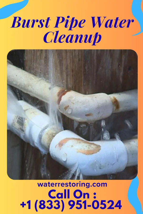 Burst Pipe Water Cleanup in Pleasantville, NJ