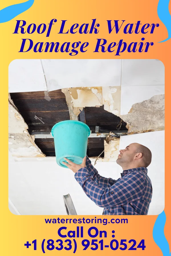 Roof Leak Water Damage Repair in Pleasantville, NJ