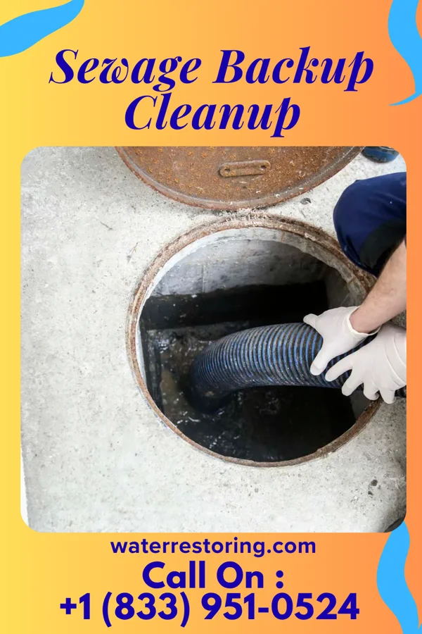 Sewage Backup Cleanup in Pleasantville, NJ
