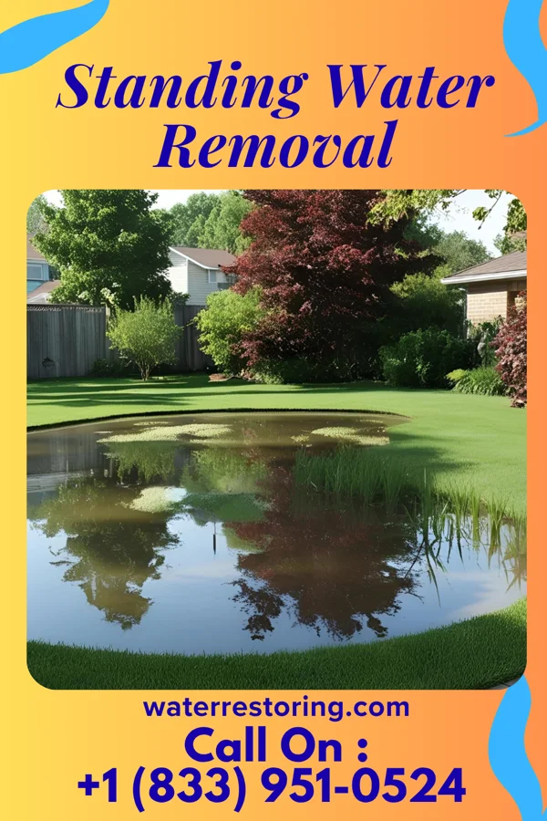 Standing Water Removal in Pleasantville, NJ